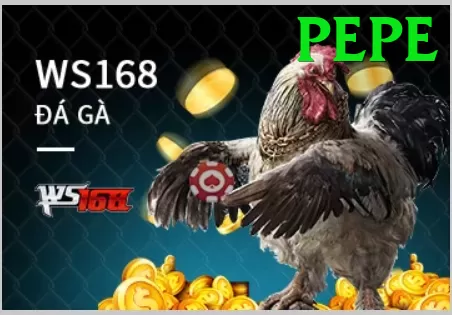 Đá Gà Trực Tiếp - Ưu đãi đặc biệt - Bảo mật